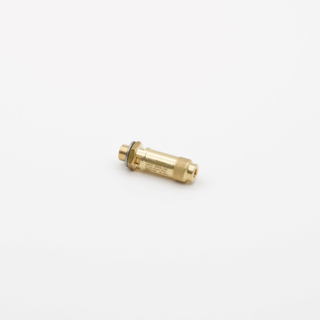 Elmasteam 4.5 safety valve